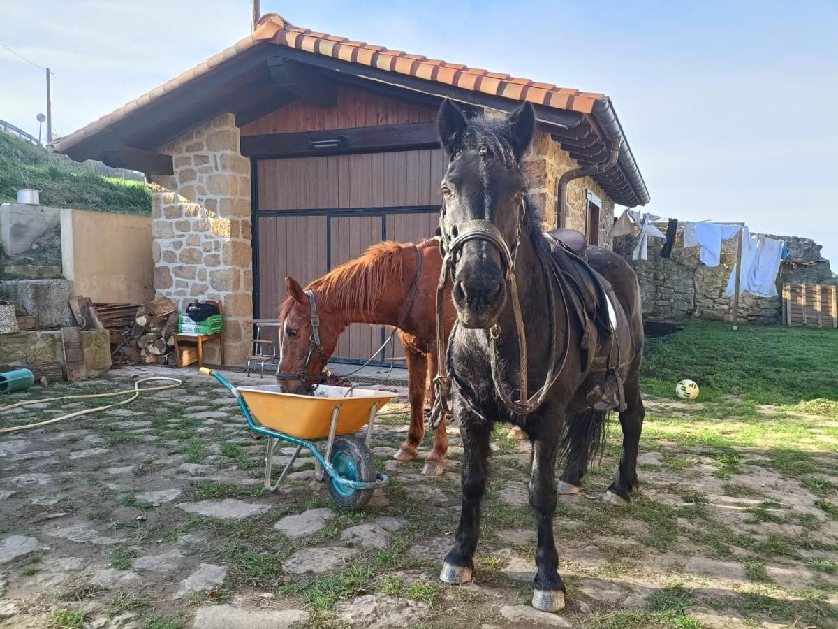 Golindo Goikoa Daire Getaria Dış mekan fotoğraf